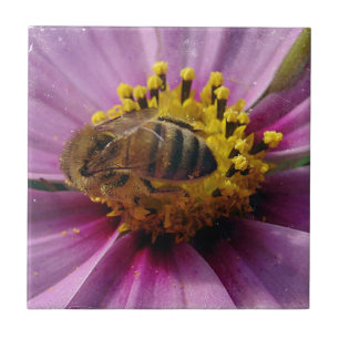 Bee Cosmo, Honey Bee und Cosmo Blume Fliese