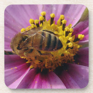 Bee Cosmo, Honey Bee und Cosmo Blume Untersetzer
