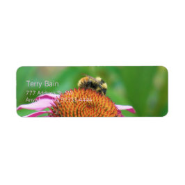 Bee Echinacea