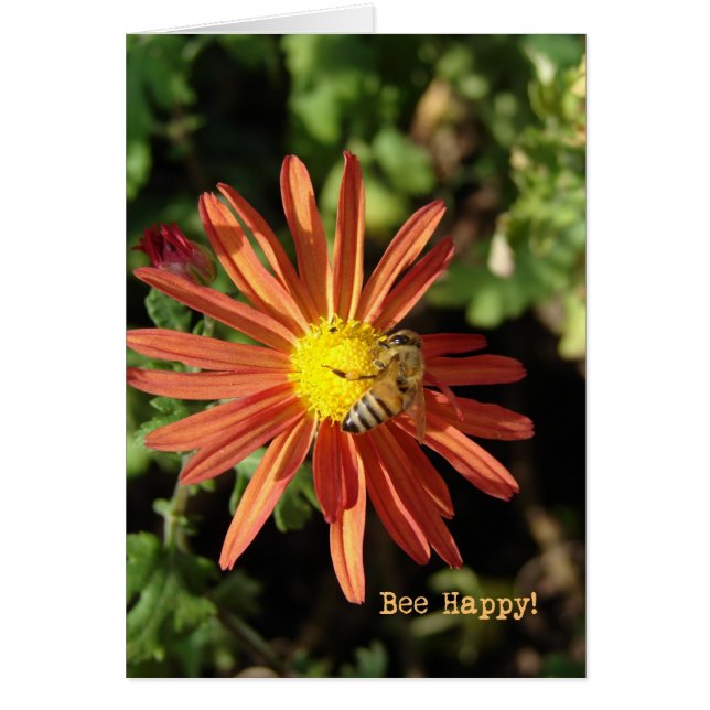 Bee Happy (Vorne)