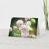 Bee Happy Lila Diagonal Allium Blume Geburtstag