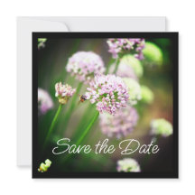 Bee Happy mit Lila Diagonal Allium Blume