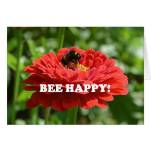 Bee Happy Red Blume