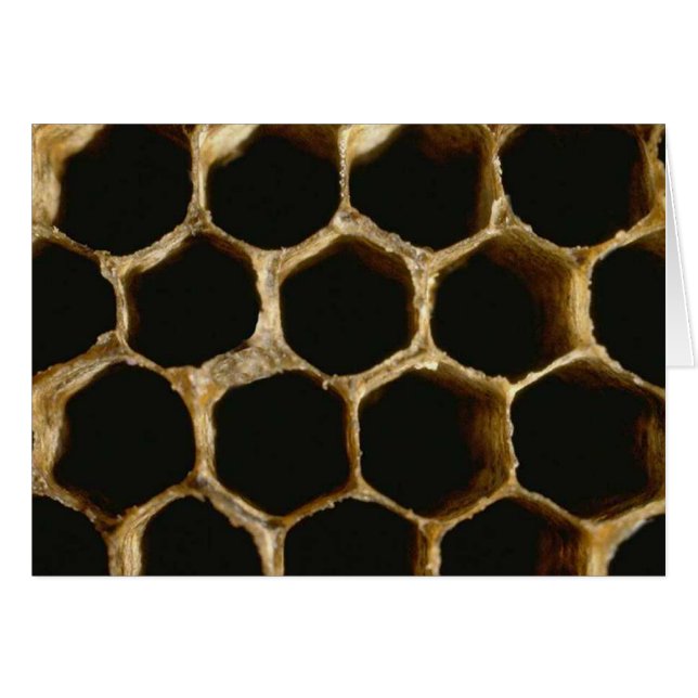 Bee Hive (Devant horizontal)