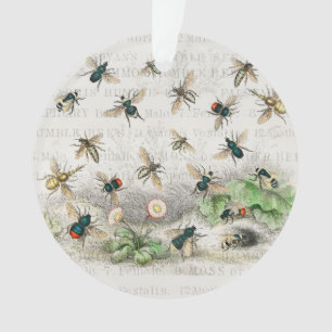 Bee Honey Travailleur Queen Bees Antique