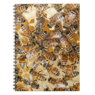 Bee keeping at Arlo’s Honey Farm Notizblock
