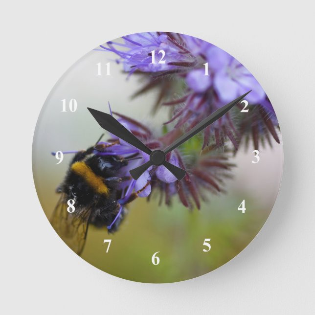Bee on a Blue Tansy Acrylic Wall Clock Runde Wanduhr (Vorderseite)