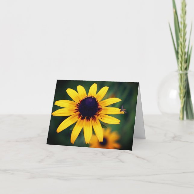 Bee On Black Eyed Susan Flower Photography  (Devant)