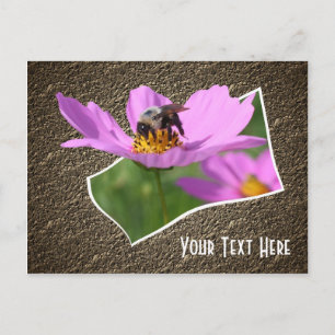 Bee On Cosmos Flower Carte Postale Personnalisable