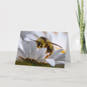 Bee On Daisy - Belle Carte de remerciements Daisy