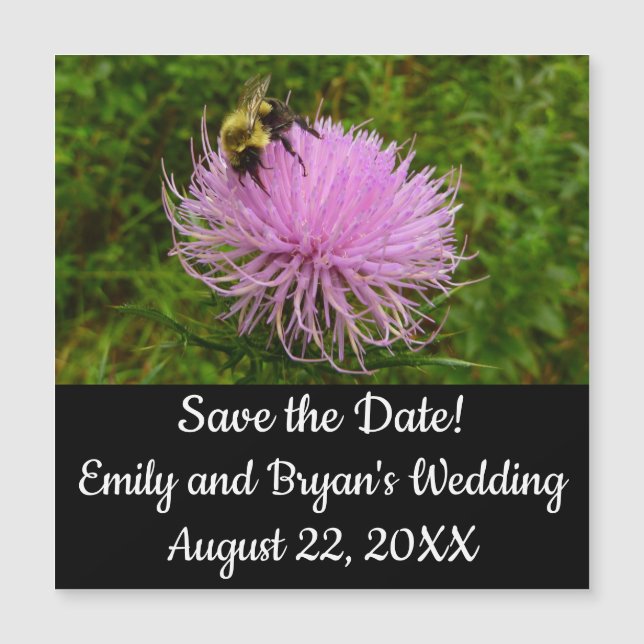 Bee on Thistle Flower Nature Magnetkarte (Vorderseite)