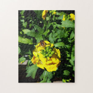 Bee on Yellow Flowers