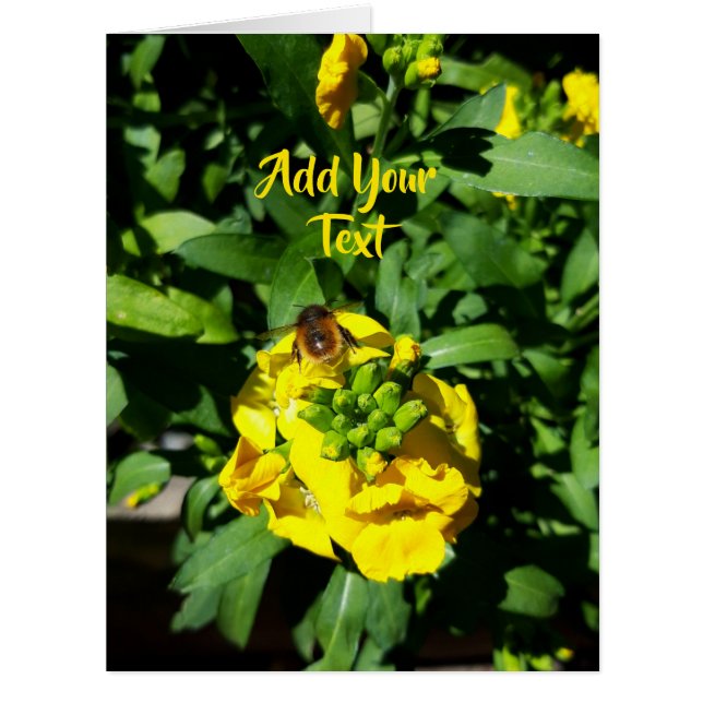 Bee on Yellow Flowers (Vorderseite)