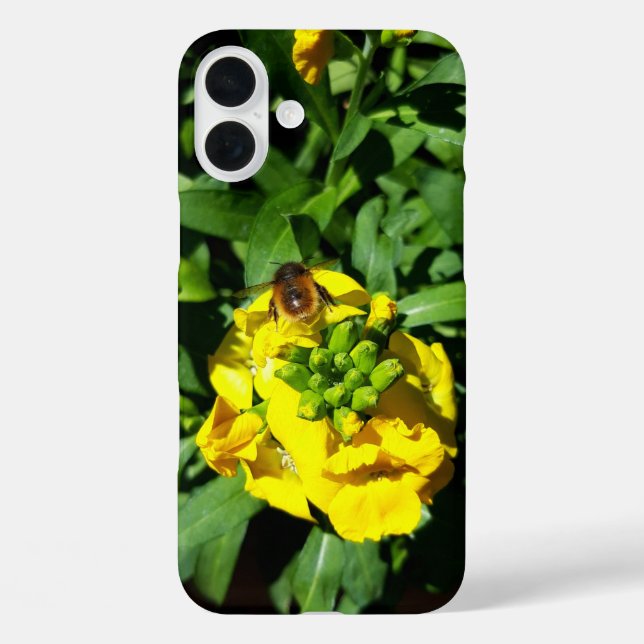 Bee on Yellow Flowers iPhone 16 Plus Hülle (Rückseite)