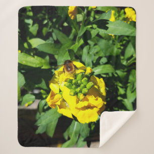 Bee on Yellow Flowers Sherpadecke