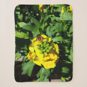 Bee on Yellow Flowers Sherpadecke