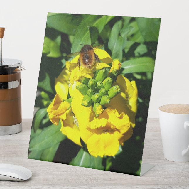 Bee on Yellow Flowers Sockelschild (In Situ)