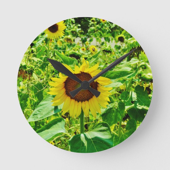 Bee on yellow Sunflower Runde Wanduhr (Vorderseite)