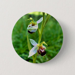 Bee Orchid Abzeichen Button