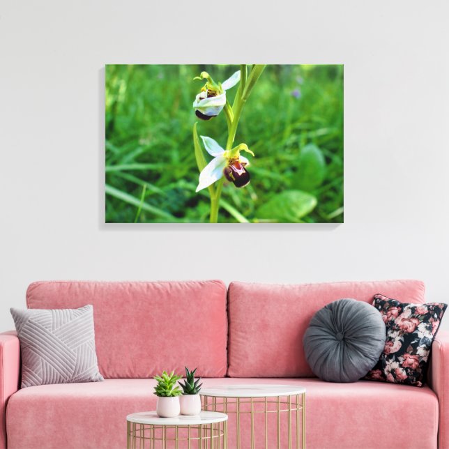 Bee Orchid Leinwanddruck (Insitu (Wohnzimmer))