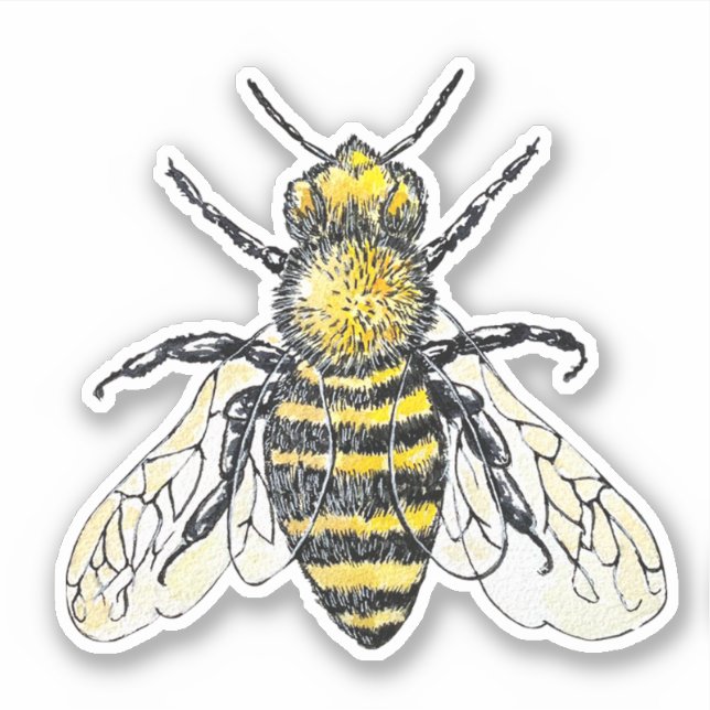 Bee Watercolor Aufkleber (Vorderseite)