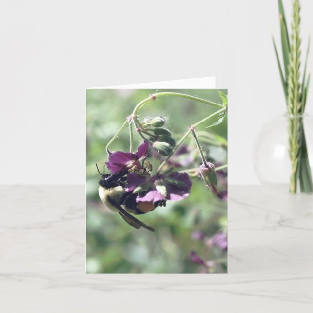 Bee With Pollen Flower Photography  (Devant)