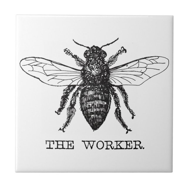 Bee Worker Honey Black Bumblebee Fliese (Vorderseite)