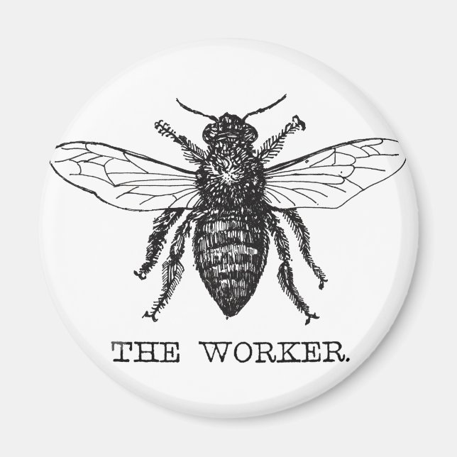 Bee Worker Honey Black Bumblebee Magnet (Vorne)