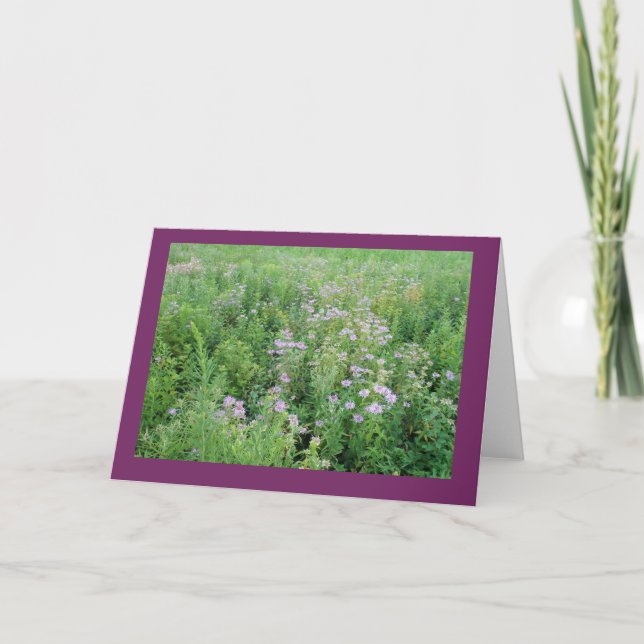 Beebalm im Prairie Garden Blank Note Card Karte (Vorderseite)