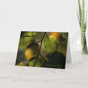 Beech Greeting Card Karte