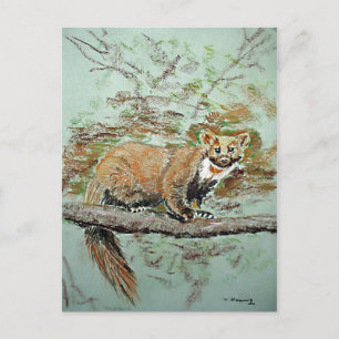 Beech Marten Postkarte