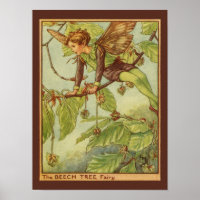 Beech Tree Fairy von Vision Studio