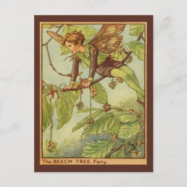 Beech Tree Fairy von Vision Studio Postkarte (Vorderseite)