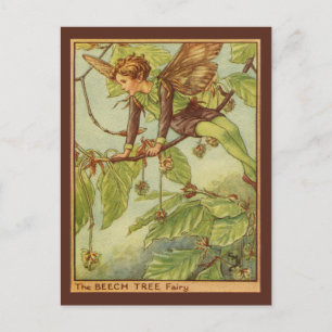 Beech Tree Fairy von Vision Studio Postkarte