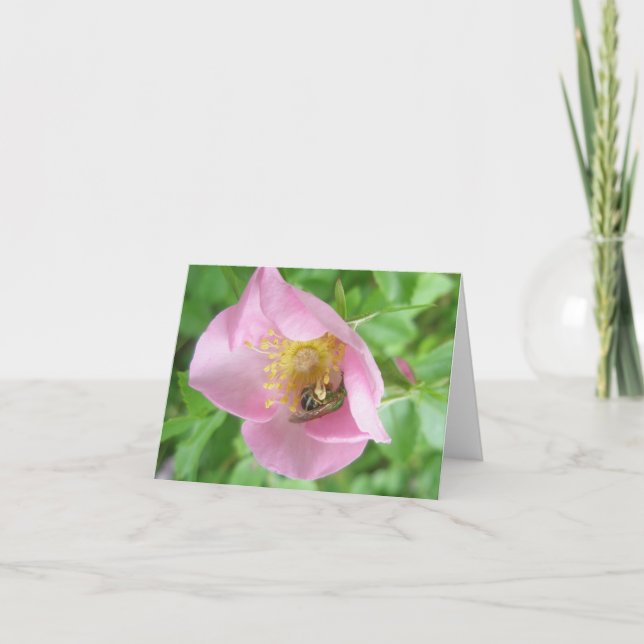 Beefly in Rose Note Card Feiertagskarte (Vorderseite)