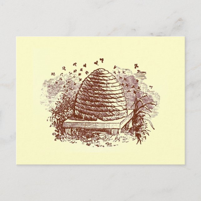 Beehive Postkarte (Vorderseite)