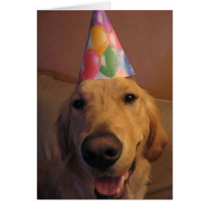 Beeilen Sie sich oben und essen Sie