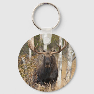 Beeindruckende Bull Moose Schlüsselanhänger