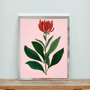 Beeindruckende rote Blume Fotodruck