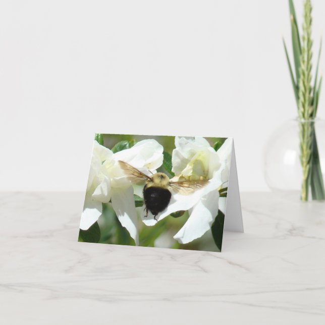 Bee'n beschäftigt karte (Vorderseite)