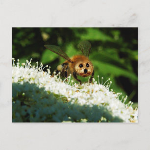 Beeog Postkarte