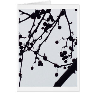 Beeren-Baum gegen den Himmel