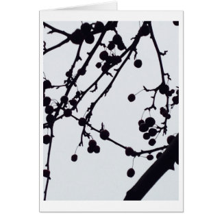 Beeren-Baum gegen den Himmel