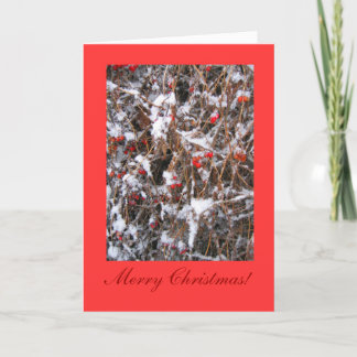 Beeren-frohe Weihnachten