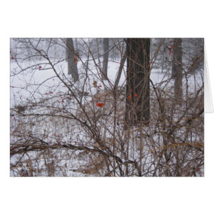 Beeren im Schnee