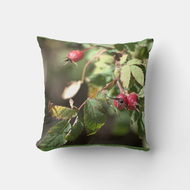 Beeren Kissen (Vorderseite)