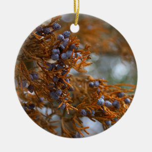 Beeren und Zweige Ornament