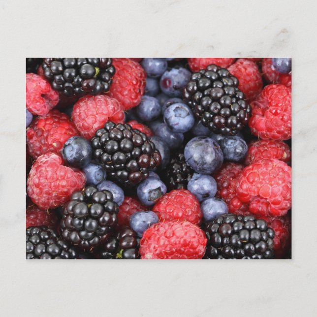 Beerenhintergrund Postkarte (Vorderseite)