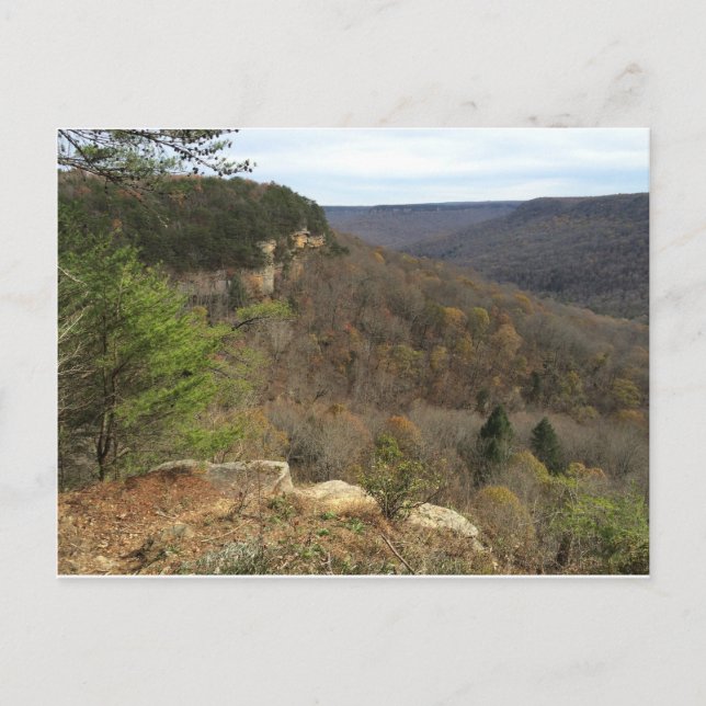 Beersheba Springs Postcard Postkarte (Vorderseite)