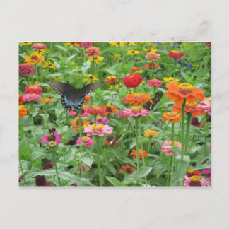 Beersheba Springs Postcard Postkarte